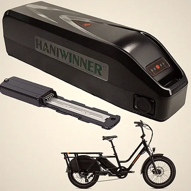 48V EBike Battery Downtube Electric Bike E Bike for Rad Power Bike RadWagon 5