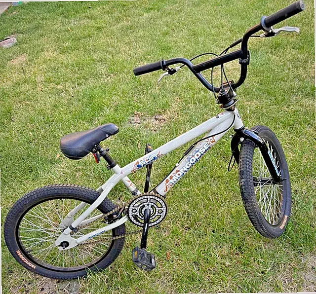 Mongoose 20 inch Bike - Gray in good condition