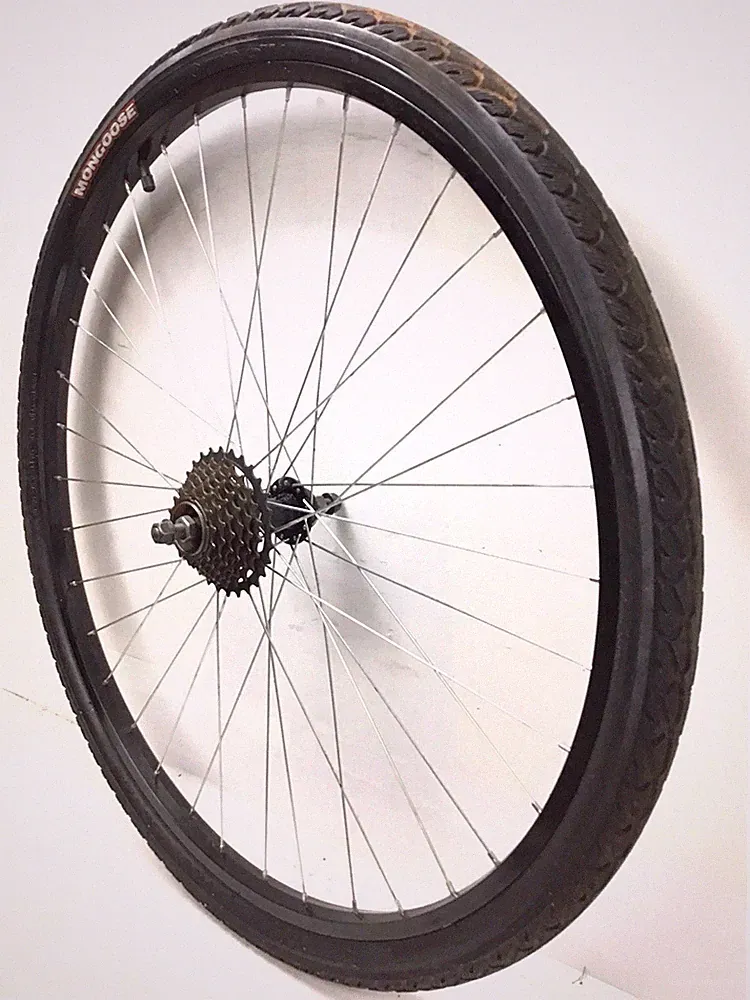 Mongoose Tandem Bike