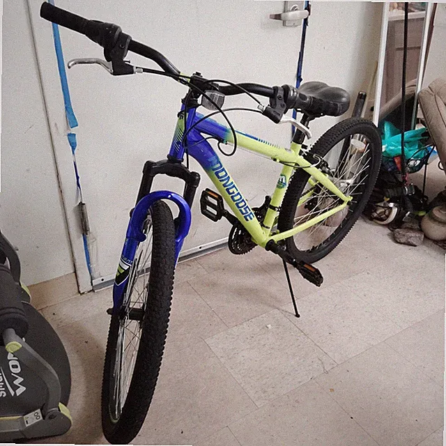 Mongoose kids mountain bike
