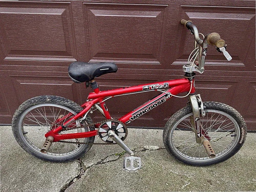 Mongoose Multi-Use Bike