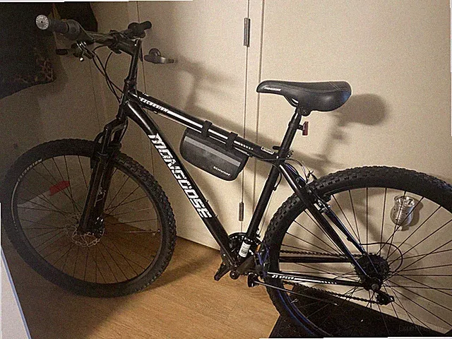 Mongoose mountain bike 29 Inch