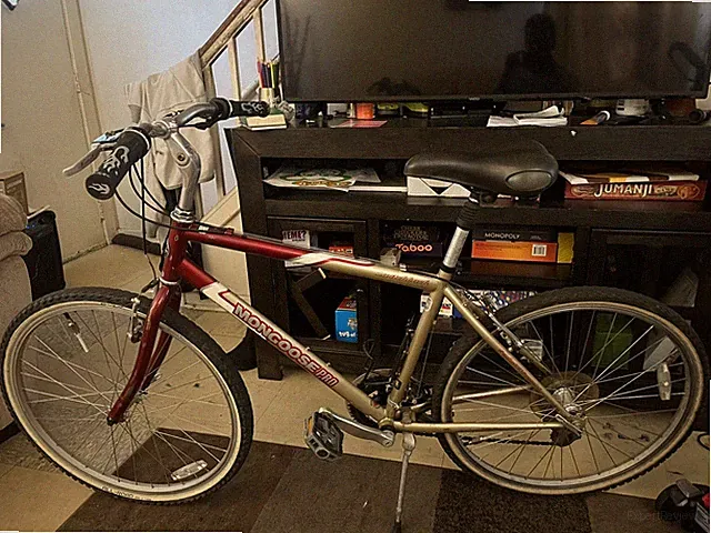 Mongoose mountain bike